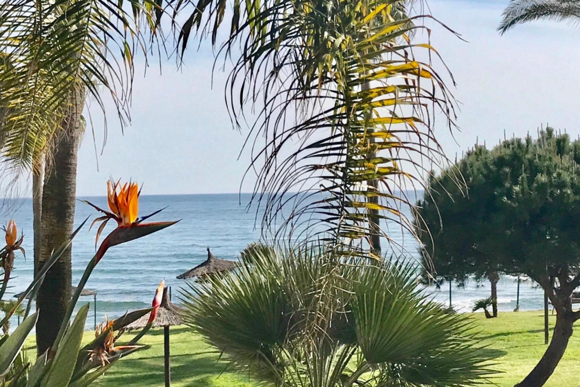 Mi Capricho 2D Beachfront- Apartment With Sea View - Costa Del Sol Ситио-де-Калаонда Экстерьер фото